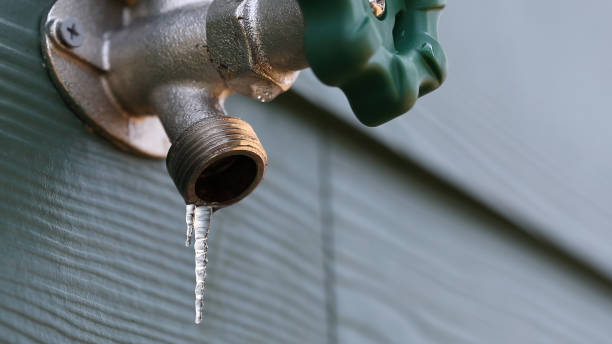 Best Sewer Line Repair  in Eustace, TX